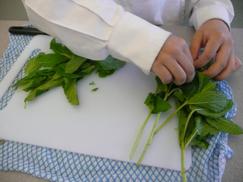Jami Oliver1 picking mint leaves