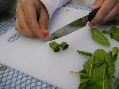 Jamie Oliver1 cutting mint2