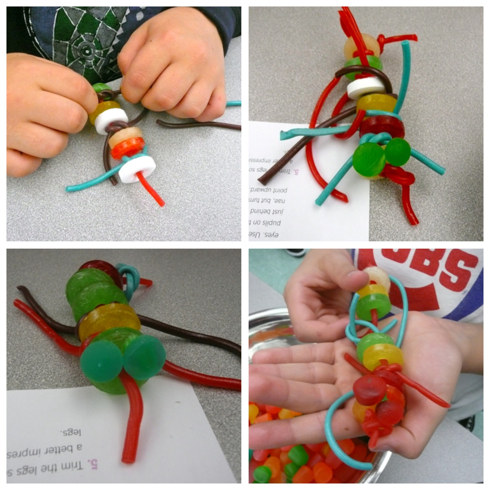 Finished centipedes