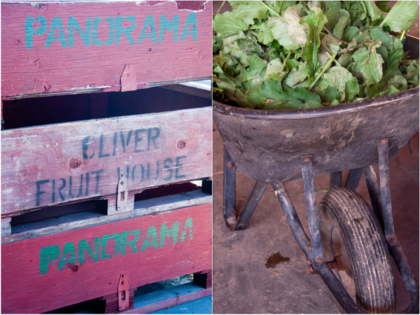 Fruit crates wheelbarrow