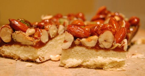 DSC_0005 Biscotti Quadrati al Miele e alle Noci