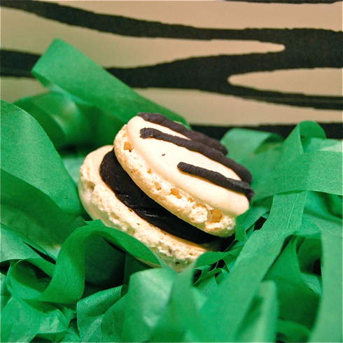 Mactweets June Zebra macs square2