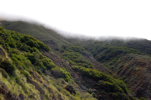 Mist on way to Big Sur