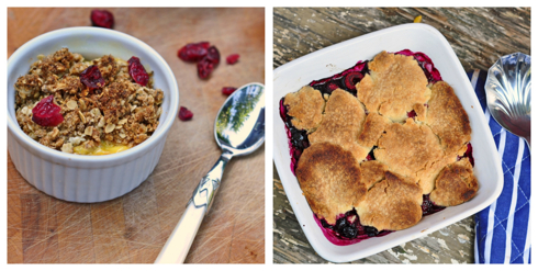 Apple cranberry crumble with lemon custard and berry cobbler recipe