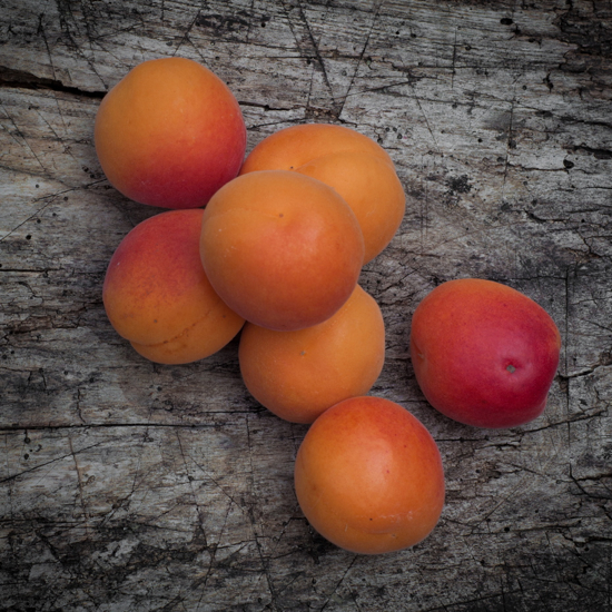 French apricots on eatlivetravelwrite.com