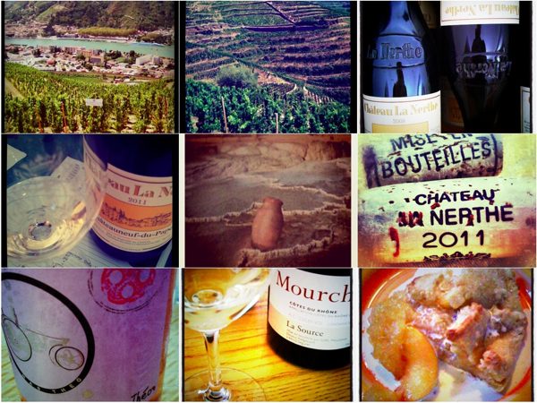 Crozes Hermitage Chateau la Nerthe Domaine Mourchon