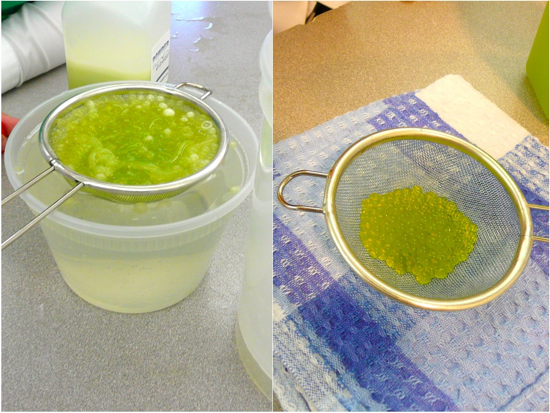 John Placko melon caviar 2