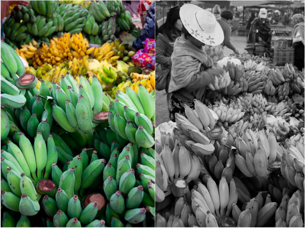 Bananas at Kalaw morning market Bananas at Kalaw morning market