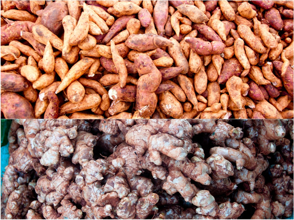 Tumeric and ginger Ginger and tumeric Kalaw market