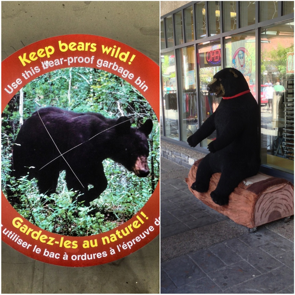 Bear signs in Jasper on eatlivetravelwrite.com