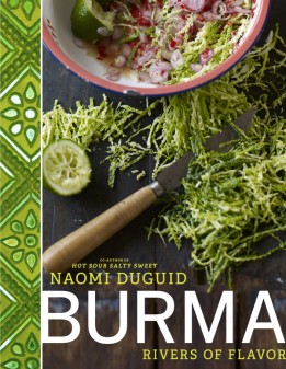 Burma-book-cover