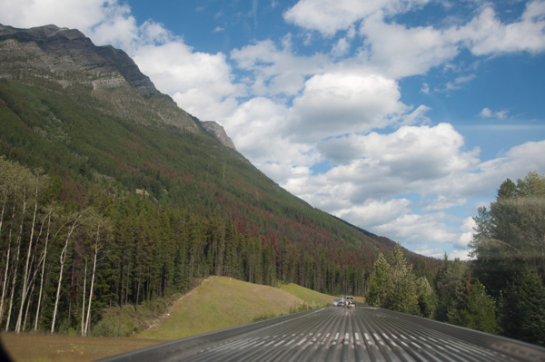 Looking out the back of the VIARail Canadian on ealivetravelwrite.com
