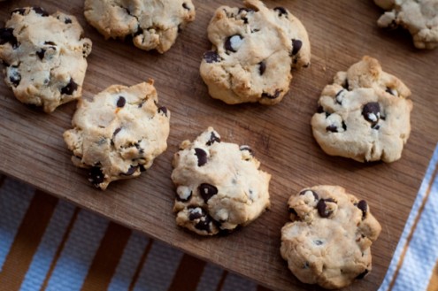 Choosing a new oven: Some thoughts and a recipe for Choc Bit Biscuits ...