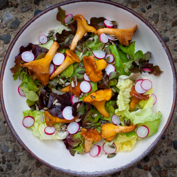 Chanterelle salad with radishes lettuce sunflower and pumpkin seeds on eatlivetravelwrite.com
