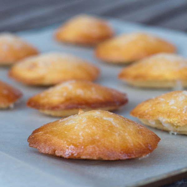 Lemon glazed madeleines from Baking Chez Moi on eatlivetravelwrite.com