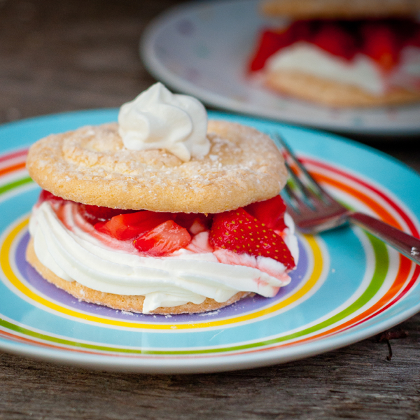 Dorie Greenspan strawberry shortcake from baking Chez Moi on eatlivetravelwrite.com
