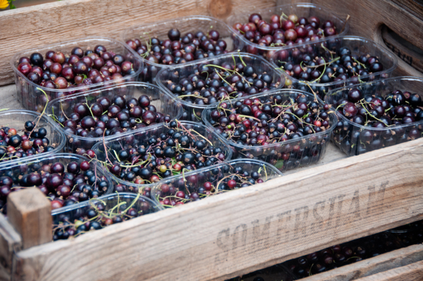 Blackcurrants at Stroud Farmers Market on eatlivetravelwrite.com