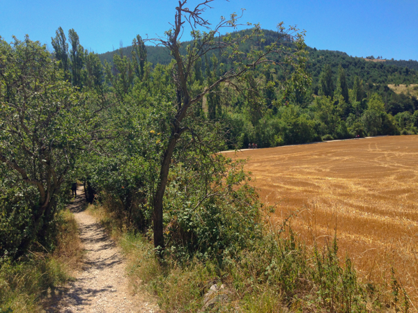 Landscape on the way to Pamplona on the Camino de Santiago on eatlivetravelwrite.com