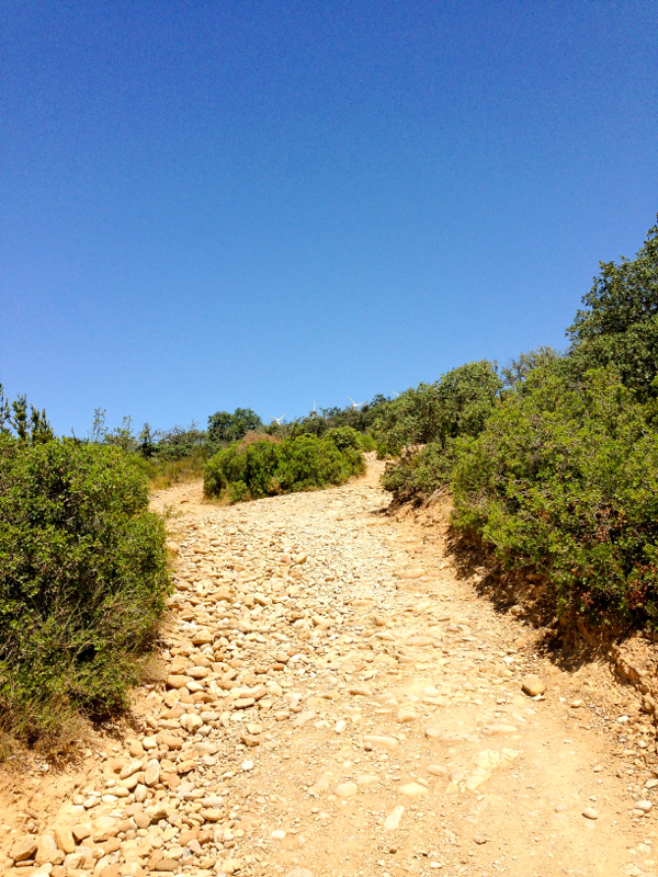 Descending from Alto de Perdon walking the Camino de Santiago on eatlivetravelwrite.com