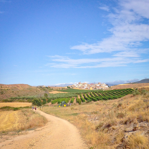 On the road to Ciraqui walking the Camino de Santiago on eatlivetravelwrite.com