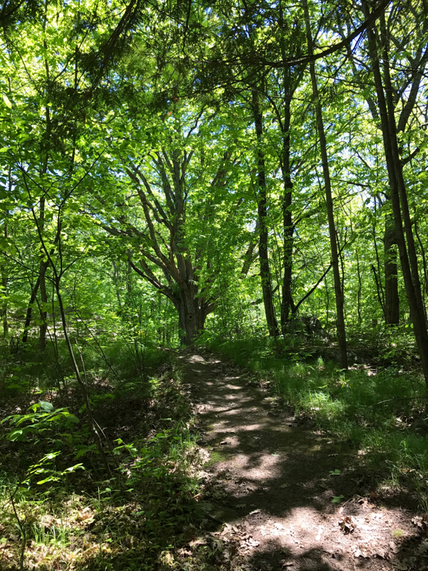 Trail walk at Viamede Resort on eatlivetravelwrite.com