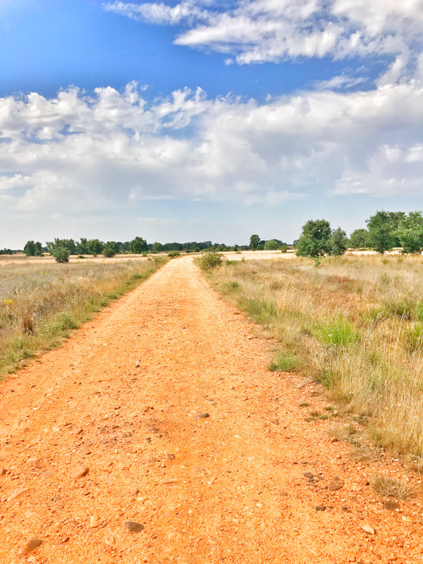 Long stretches of empty road walking the Camino de Santiago: Léon to Villavante with Camino Travel Center on eatlivetravelwrite.com
