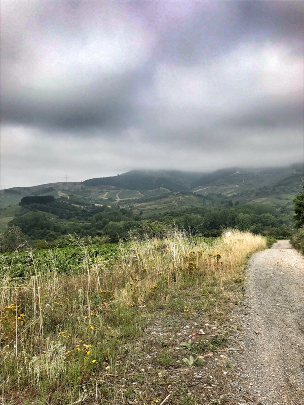 Vineyards and ominous skies walking the Camino de Santiago: Ponferrada to Villafranca del Bierzo with Camino Travel Center on eatlivetravelwrite.com