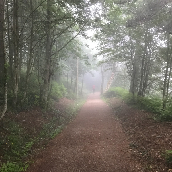 Misty forest walking the Camino de Santiago: O Cebreiro to Triacastela with Camino Travel Center on eatlivetravelwrite.com