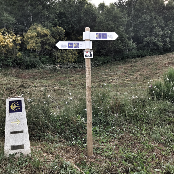Confusing signage walking the Camino de Santiago: O Cebreiro to Triacastela with Camino Travel Center on eatlivetravelwrite.com