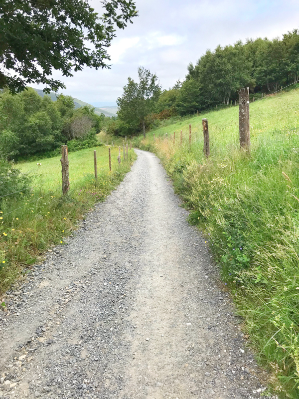 Path into Triacastela walking the Camino de Santiago: O Cebreiro to Triacastela with Camino Travel Center on eatlivetravelwrite.com