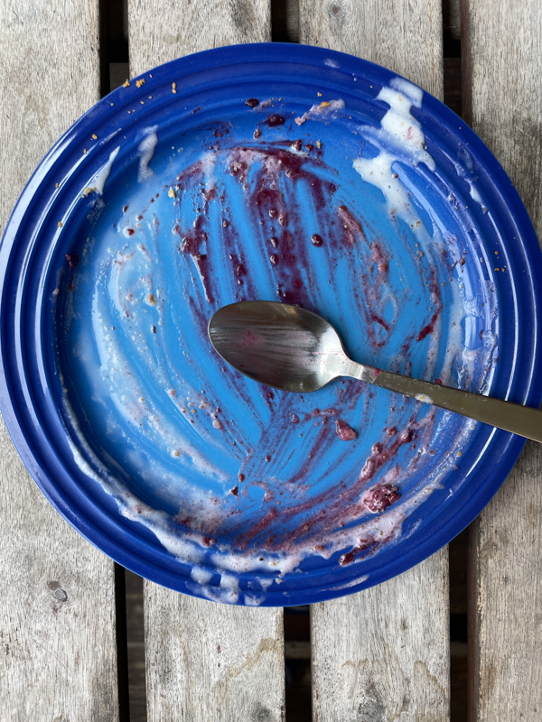 An empty plate smeared with the remains of a berry pie and ice cream.