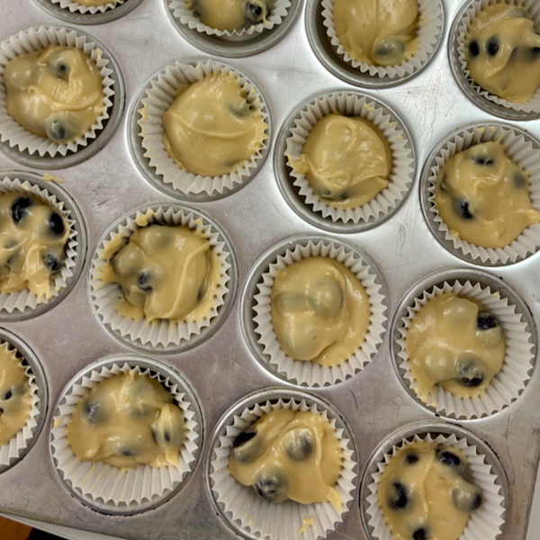 Muffin tin with raw blueberry muffins in paper liners, batter pale yellow with visible blueberries