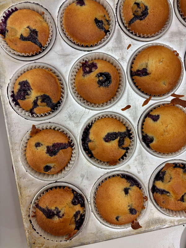 Blueberry muffins in a metal muffin tin with paper liners and golden tops.