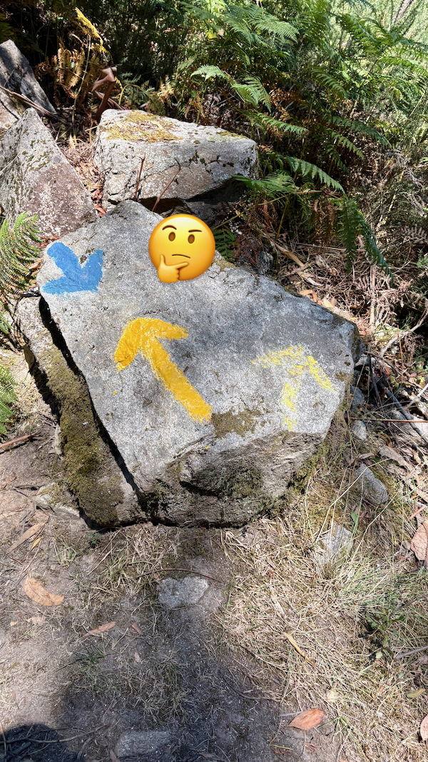 Rock with blue and yellow trail markers painted on it in a forest, with a thinking-face emoji resting on the rock.