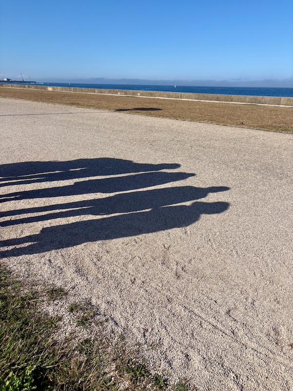 Shadows of a group of people cast long on a gravel path beside a grassy area, with the sea and blue sky beyond.