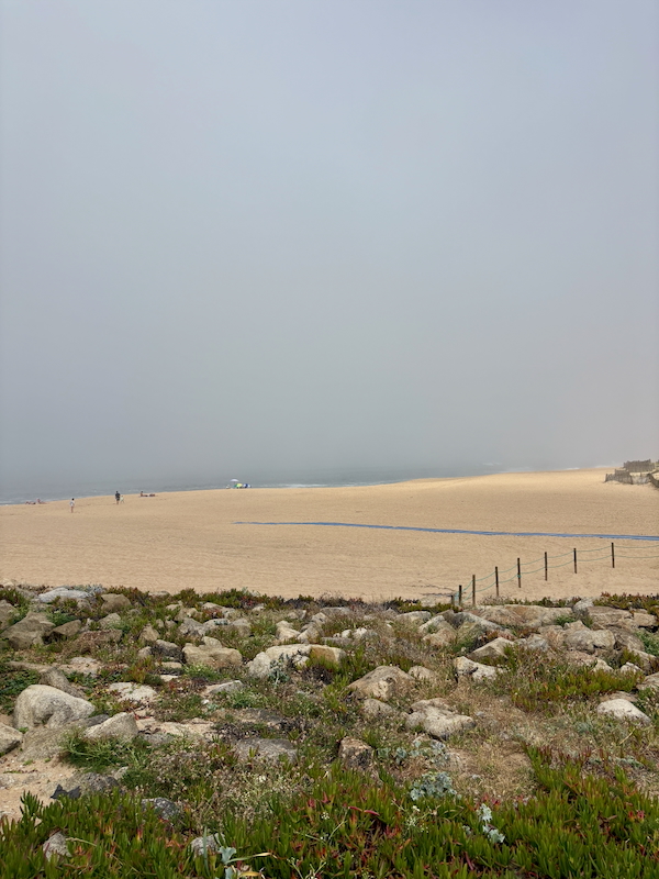 Rocky foreground with low plants leads to a wide sandy beach and calm ocean under a hazy blue sky.