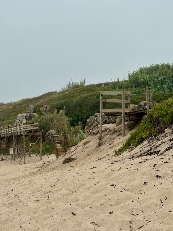 Sandy beach with a wooden boardwalk winding along the dune and green shrubs in the background, under a pale sky.