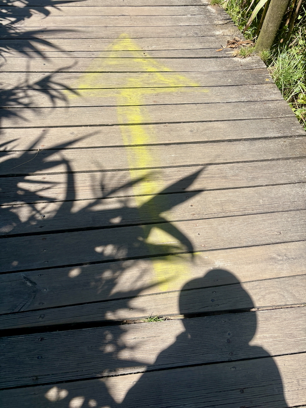 Bright yellow arrow painted on a sunlit wooden boardwalk, indicating the direction along the path, with plant shadows and a person’s silhouette in the foreground.