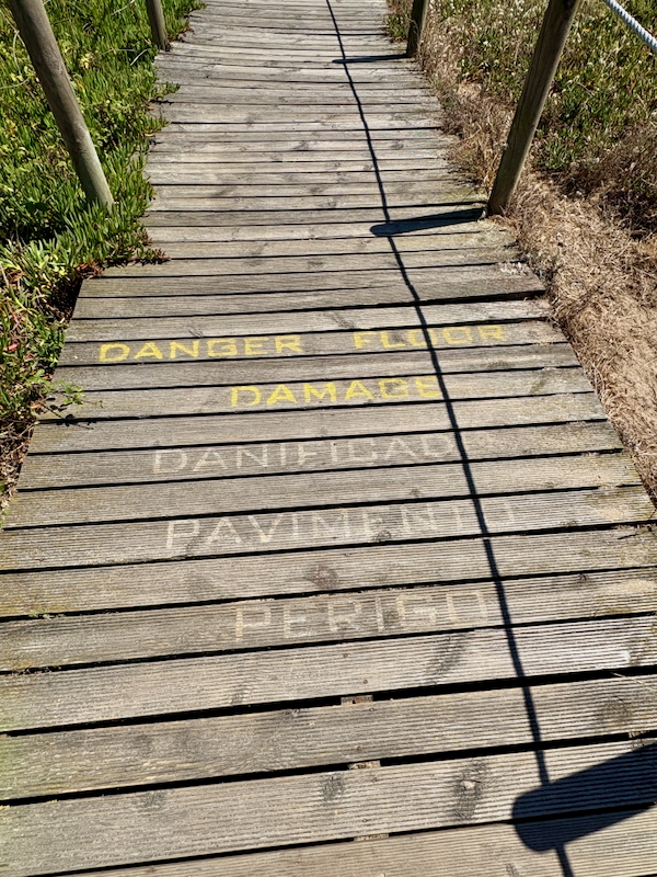 Wooden boardwalk with yellow warning text reading 'DANGER FLOOD DAMAGE' on the planks, flanked by green plants and railing posts.
