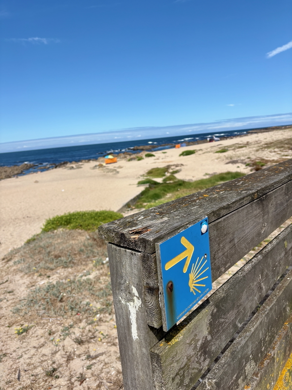 Wooden fence along a sandy beach with a blue directional sign featuring a yellow arrow and scallop shell.