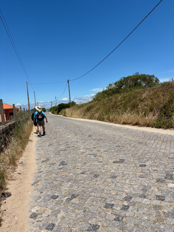 Two hikers with backpacks walk away along a cobblestone rural road under a clear blue sky, power lines overhead.