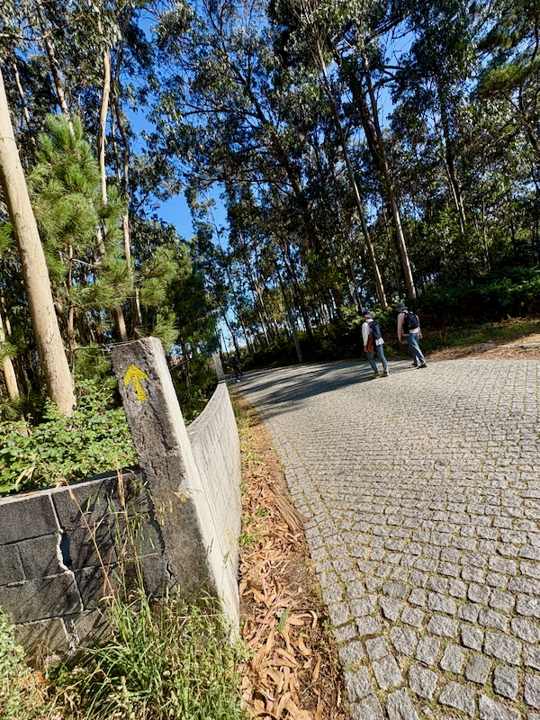 Two hikers walk along a sunlit cobblestone path through a dense forest; a concrete post with a yellow arrow points forward behind them.
