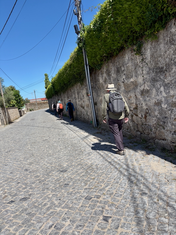 Hikers walking along a sunlit cobblestone street beside a tall ivy-covered stone wall, with utility poles and wires overhead.