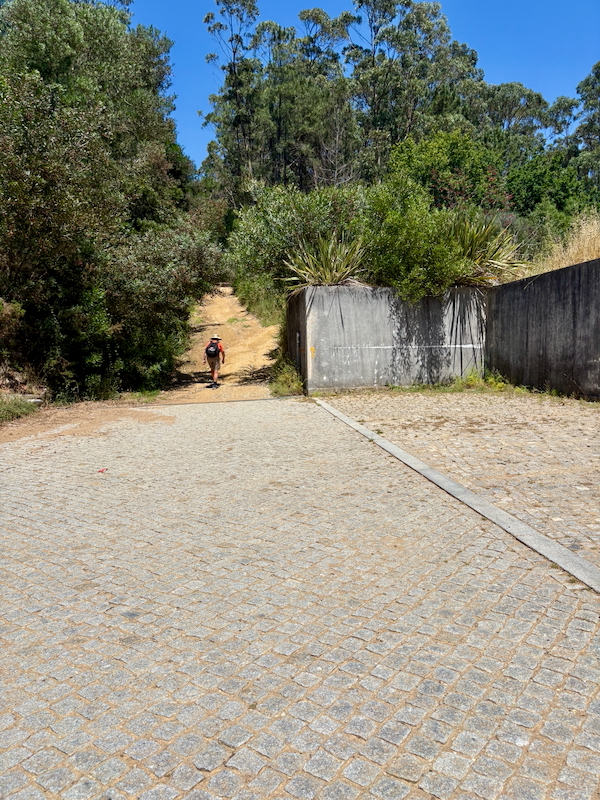 Hiker walking down a dirt trail into a green forest, with a cobblestone foreground and a concrete wall with plants on the right under a blue sky