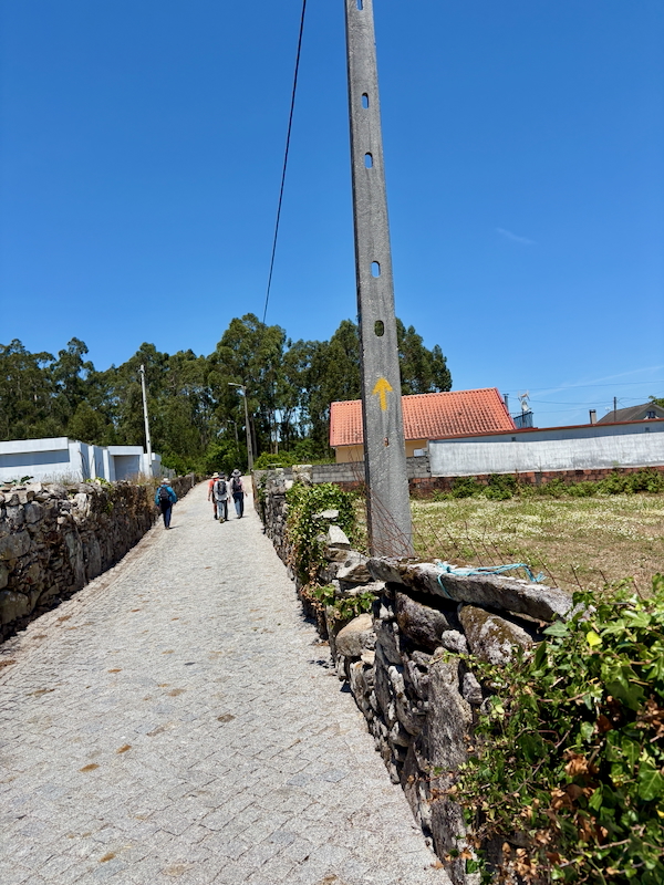 Cobblestone pedestrian path flanked by stone walls, with a tall utility pole bearing a yellow arrow and people walking in the distance under a clear blue sky.