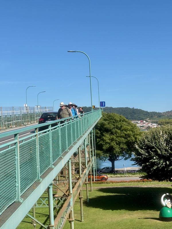Pedestrians walk along a turquoise metal footbridge with teal railing, over a grassy park and a river with hills in the distance on a sunny day.