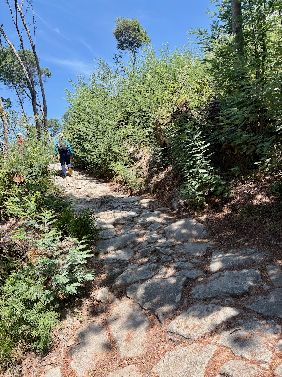 Hikers with backpacks walk along a rocky forest trail under a bright blue sky.
