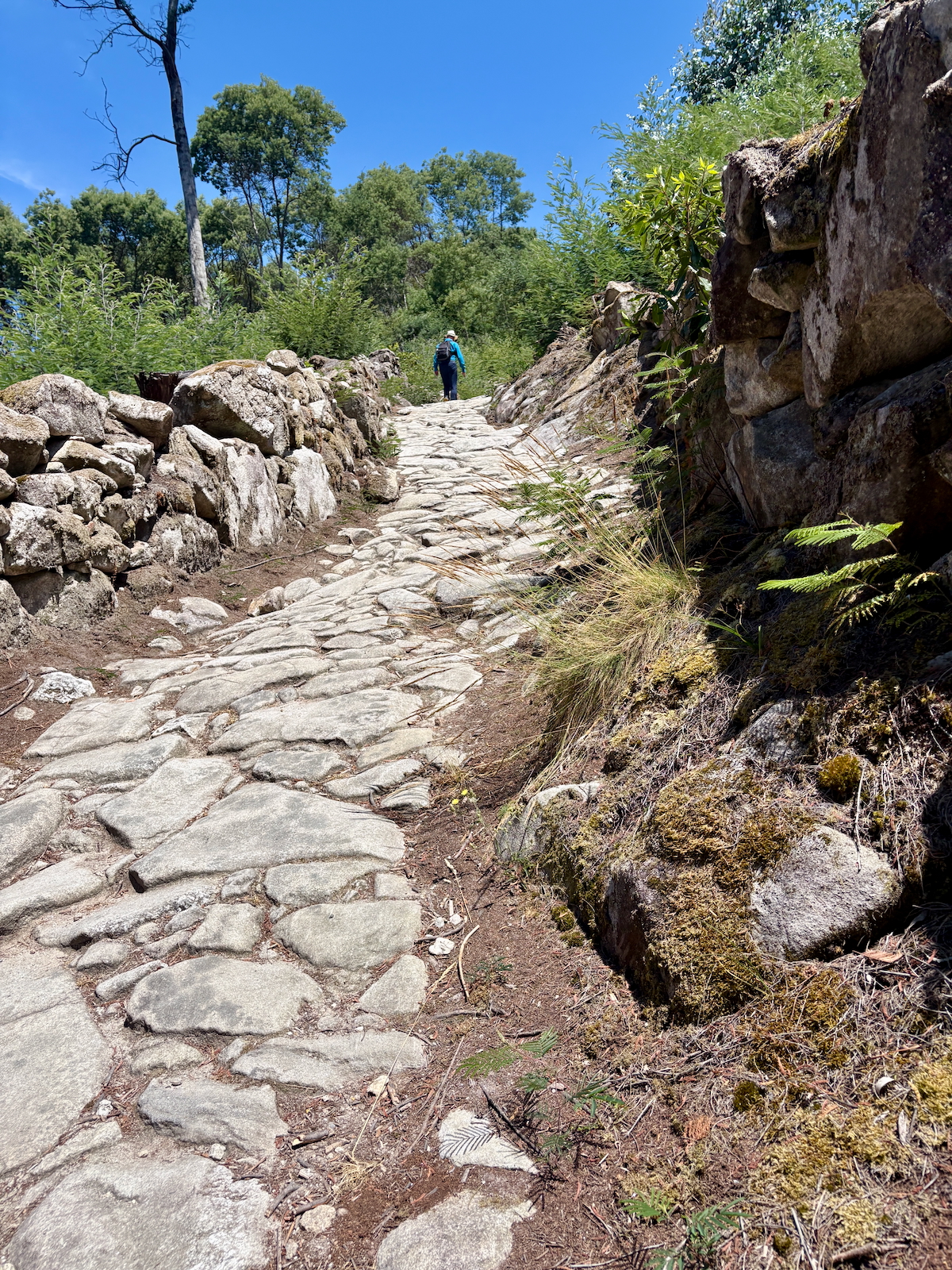 Stone cobblestone trail between dry-stone walls, a person in blue walking away amid trees under a clear blue sky.