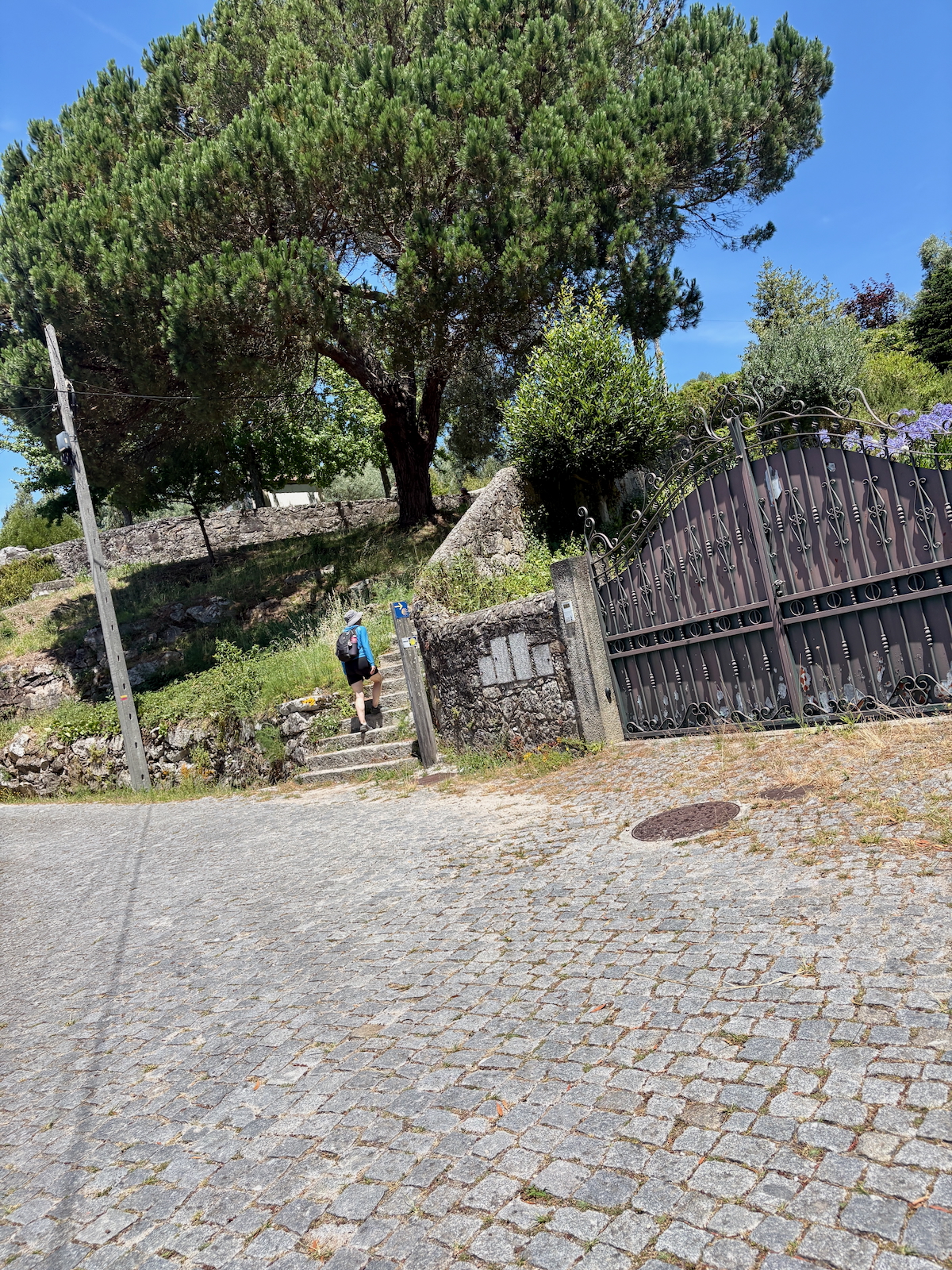 A person with a backpack walking up stone steps beside a decorative iron gate, with a large tree and stone wall in a sunny, garden-like setting.