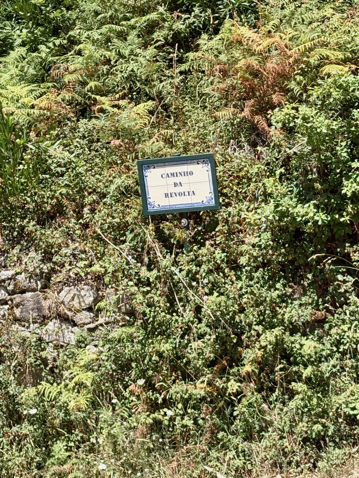 Sign reading 'Caminho da Revolta' mounted on a stake among dense greenery and ferns.